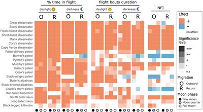 Seabird Migration Strategies: Flight Budgets, Diel Activity Patterns, and Lunar Influence